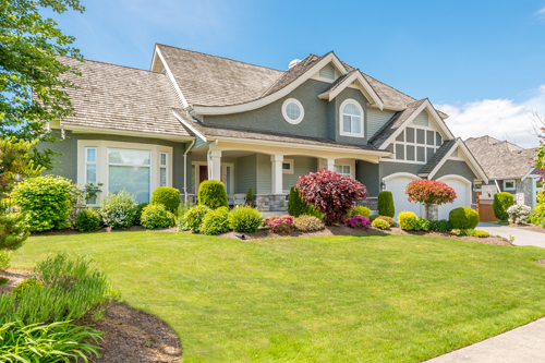 SEARCH FOR A HOME